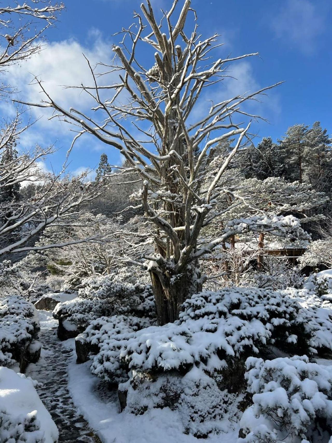 高山Shohakuen别墅 外观 照片