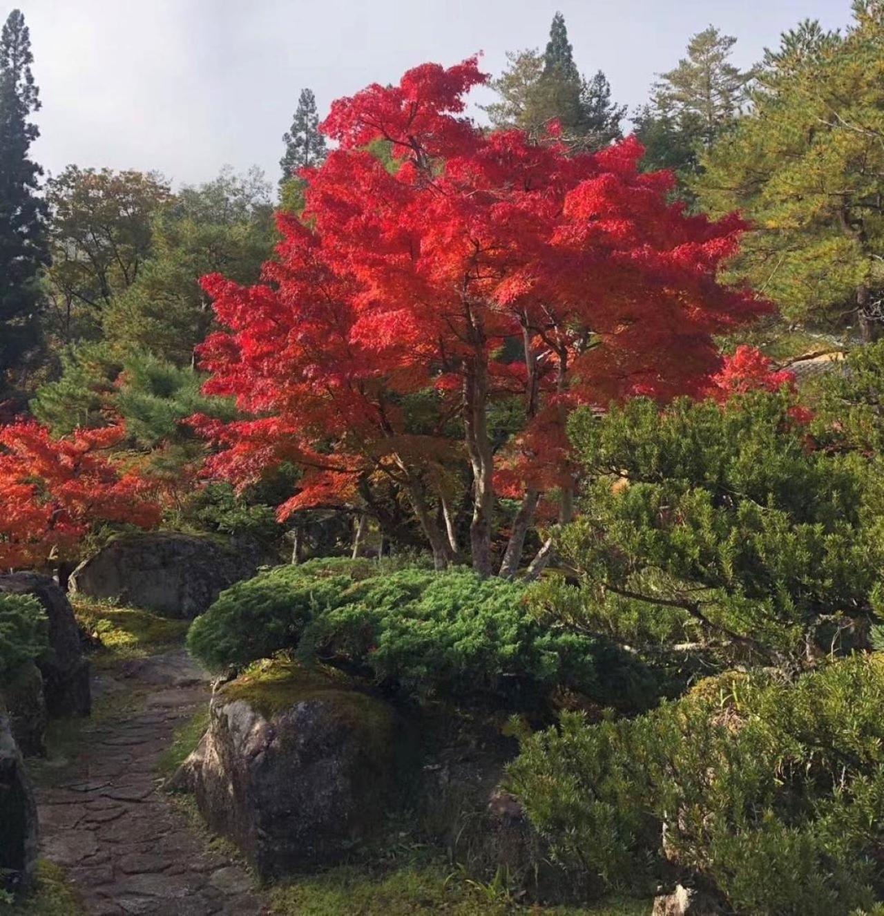 高山Shohakuen别墅 外观 照片